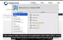 New How DO I, IDEA Launch & Expanded Developer Guide